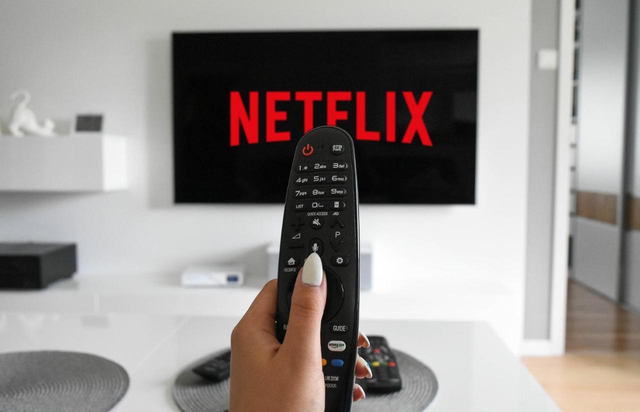Apartment Stilvolle *rebland* Balkon-netflix-parking *